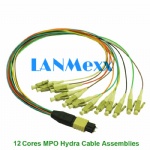 12 cores MPO hydra cable assemblies